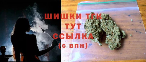 дживик Бородино