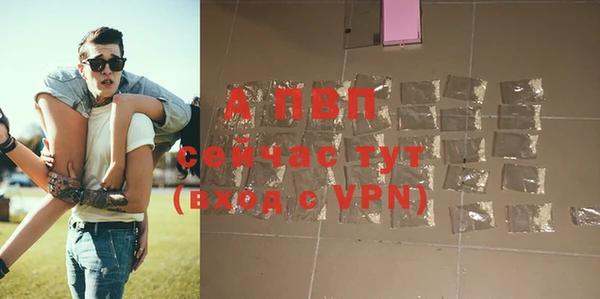 ешки Бронницы