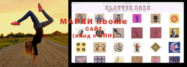дживик Бородино