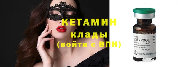 дживик Бородино