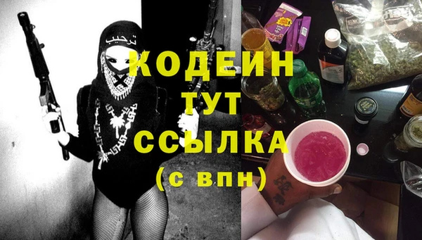 дживик Бородино