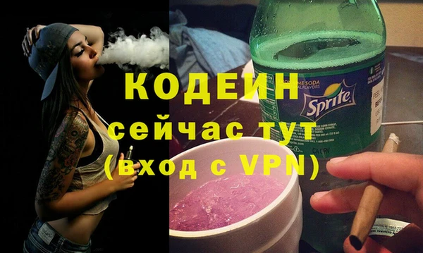 дживик Бородино