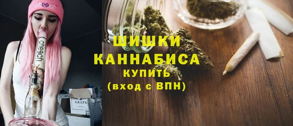 дживик Бородино