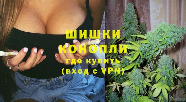 дживик Бородино