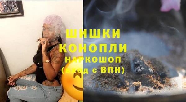 ешки Бронницы