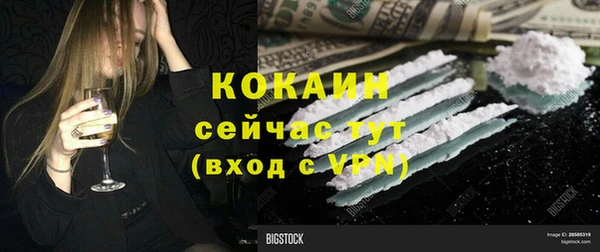 дживик Бородино